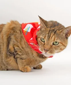 Mokuyobi Accessories Flashback Bandana